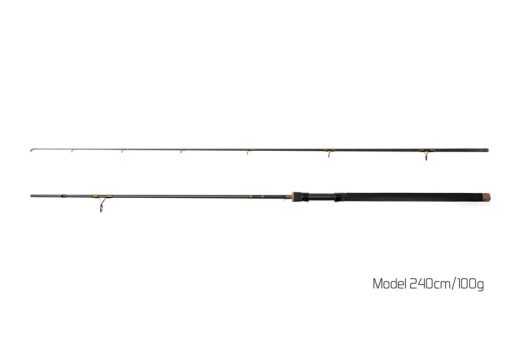 Delphin Lanseta Murena 2.40m 100g