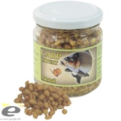 Grau Carp Expert la Borcan Natur
