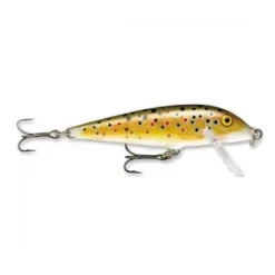 Vobler Rapala CoundDown 9cm/12g TR