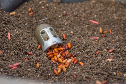 Matrix Bell Feeder - Medium 40g - imagine 8