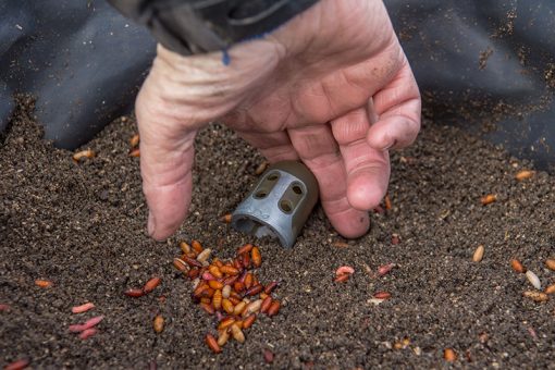 Matrix Bell Feeder - Medium 40g - imagine 9