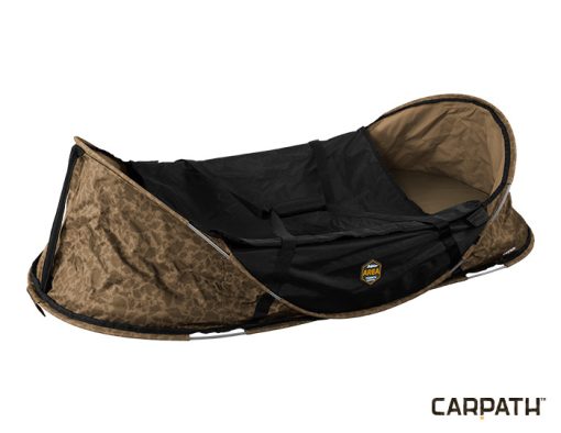 Delphin Area S-Math Carpath