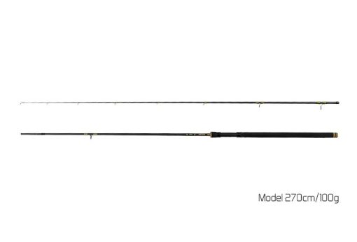 Delphin Lanseta Murena 2.70m 100g
