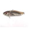 Strike pro cicada astro vibe 4. 5cm ju007e