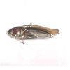 Strike pro cicada astro vibe  5. 5cm ju007e