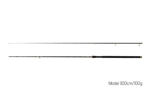 Delphin Lanseta Murena 3.00m 100g