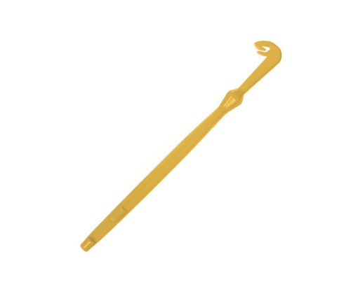 Delphin Instrument Bucle