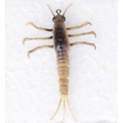 Savage Gear Mayfly Nymph 5cm 05