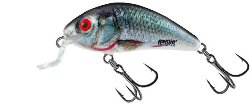 Vobler Salmo Hornet Rattlin Shallow 3,5cm Holographic Real Dace