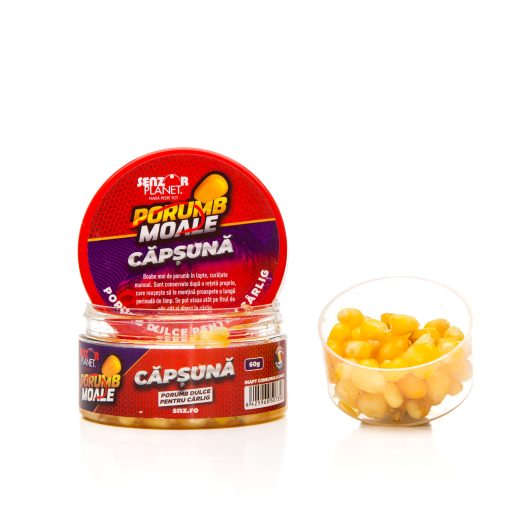 Porumb Carlig Senzor Bob Moale - Capsuna