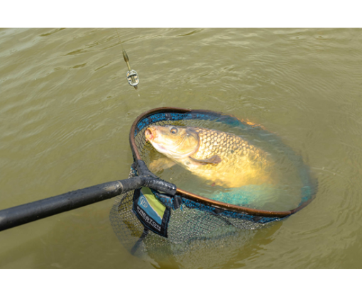 Preston Ics Dura Flat Method Feeder-Mini 20g - imagine 6