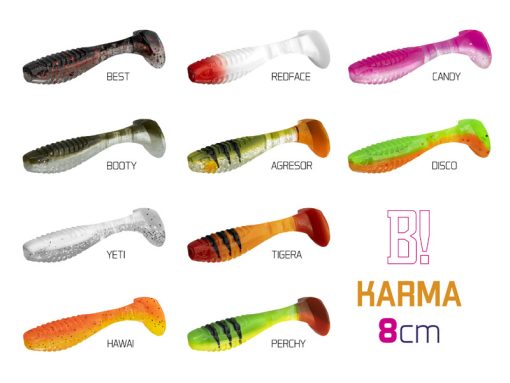 Delphin Shad Bomb Karma 8cm Mix culori