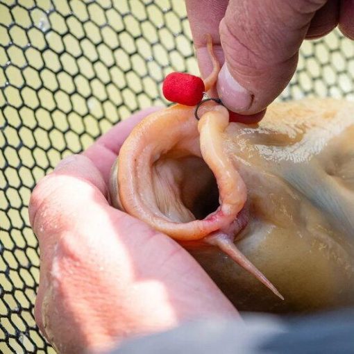 MAINLINE WAFTERS MATCH DUMBELL RED KILL 8MM - imagine 4