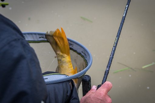 Matrix Ethos Xrc 10ft/3.0m Feeder 40g (2.4mm) - imagine 8