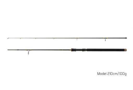 Delphin Lanseta Murena 2.10m 100g