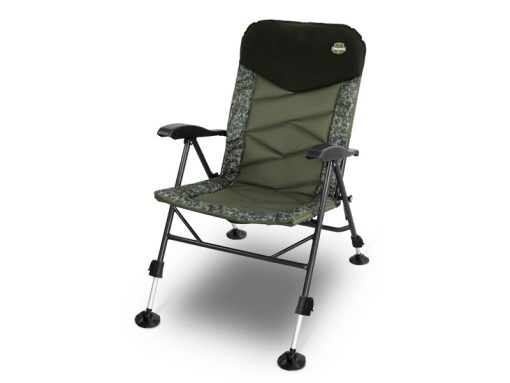 Delphin Scaun Triumph C2g - imagine 2