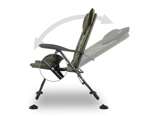 Delphin Scaun Triumph C2g - imagine 3