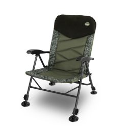 Delphin Scaun Triumph C2g