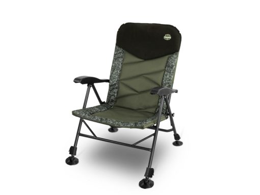 Delphin Scaun Triumph C2g