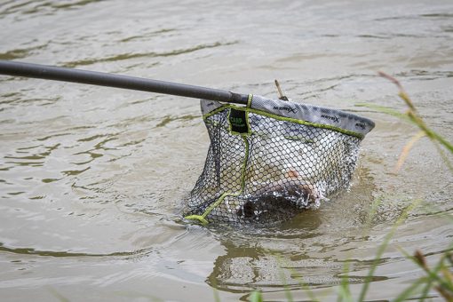 Matrix Carp Landing Net 50x40cm - imagine 5