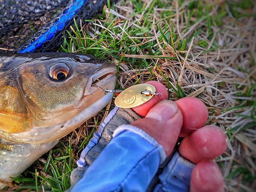 Rtb Rotativa Inline Spinner 1.6gr - Col.2 Nr.1 Gold Blade - imagine 2