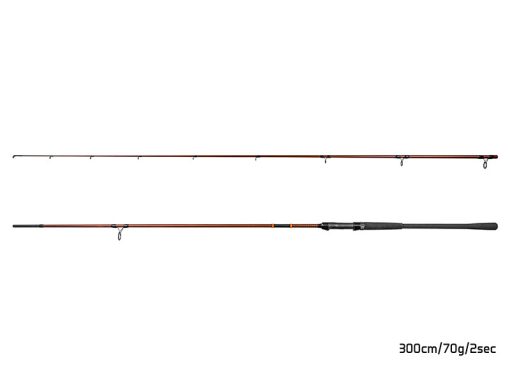 Lanseta Delphin Expoza Hard 2buc - 3m 70g - imagine 2