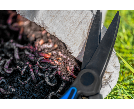 Preston Worm Scissors - imagine 5