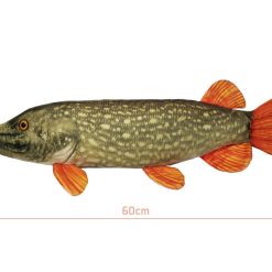 Alternative view of Delphin Perna Plus 60cm Piky