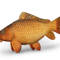 Perna Delphin Plus 60cm Carpy