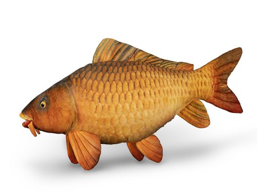 Perna Delphin Plus 60cm Carpy
